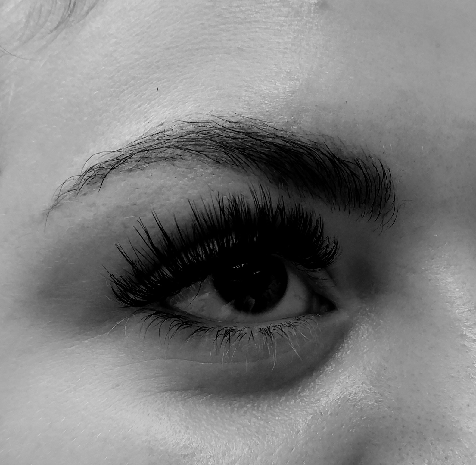 Eyelash Extensions Portland, Oregon Lash Club